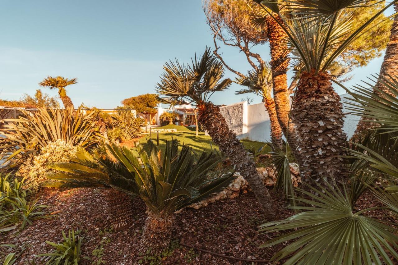 Bed and Breakfast Echi Di Puglia Marsento Polignano a Mare Zewnętrze zdjęcie